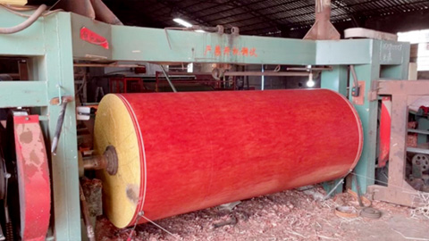 Como escolher uma máquina de descascar folheados？